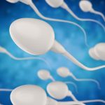 Quels sont les facteurs qui affectent la production de spermatozoïdes ?